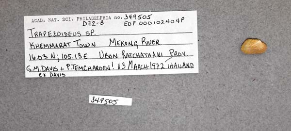 image of lot ANSP_349505