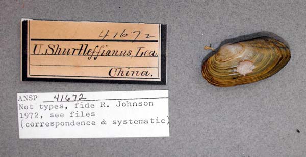 image of lot ANSP_41672