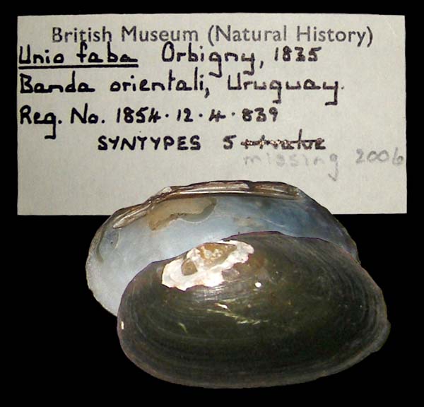 specimen