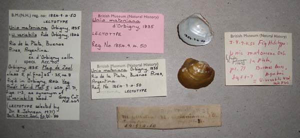 image of type lot
