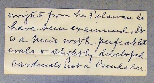 image of lot USNM_128577