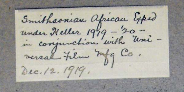 image of lot USNM_341222