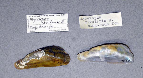 image of lot USNM_472449