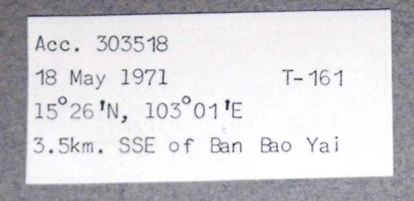 image of lot USNM_787694