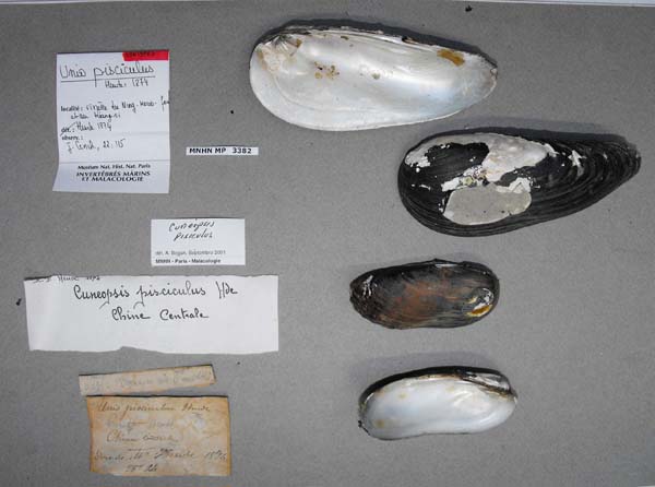 image of type lot