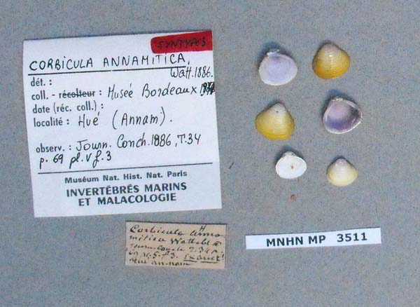 image of type lot image of type lot