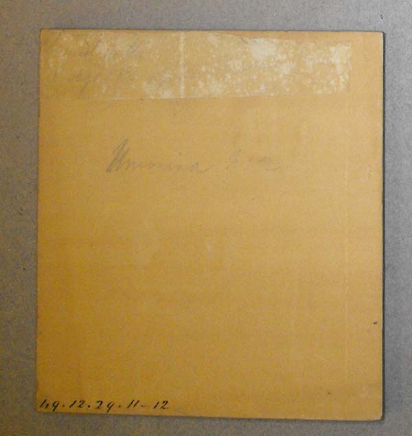 image of lot BMNH_49-12-29-11-12