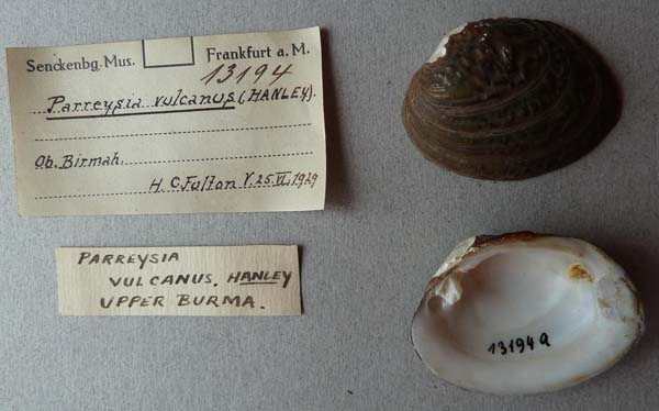 image of lot SMF_13194