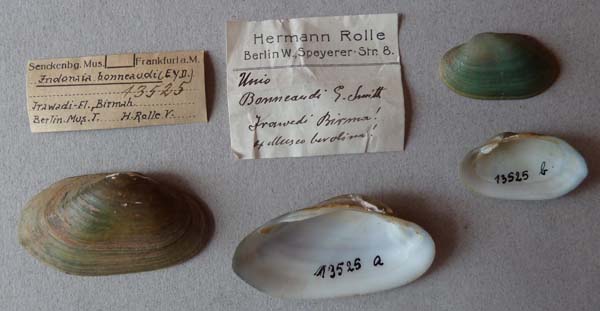 image of lot SMF_13525