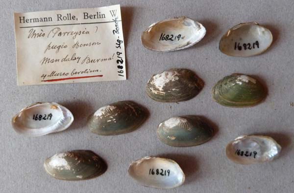 image of lot SMF_168219