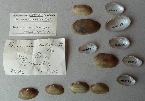 image of lot SMF_188889