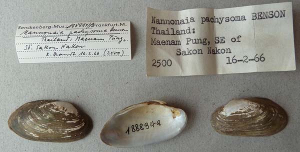 image of lot SMF_188894