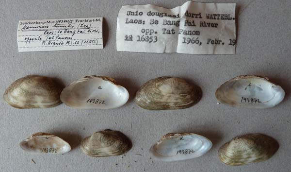 image of lot SMF_193872