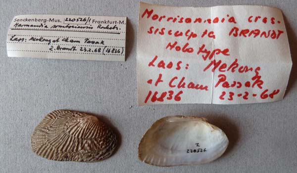 image of lot SMF_220526