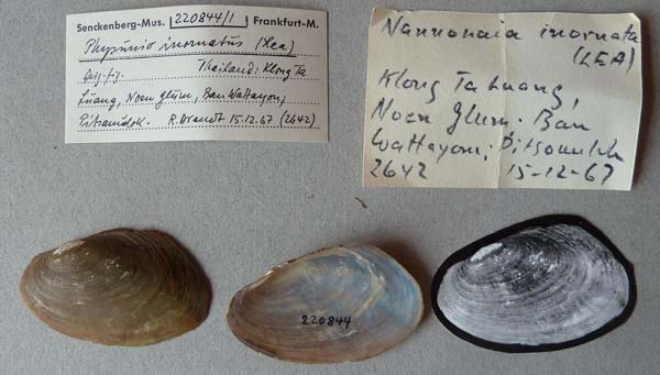 image of lot SMF_220844