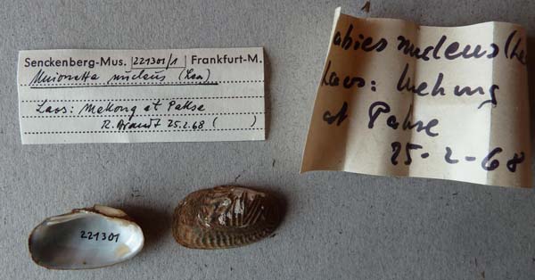 image of lot SMF_221301