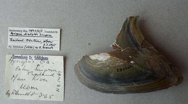 image of lot SMF_283237