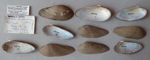image of lot SMF_283249