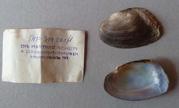 image of lot SMF_319281