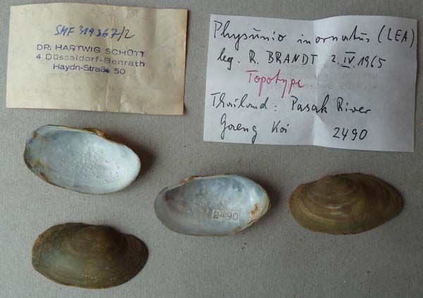 image of lot SMF_319367