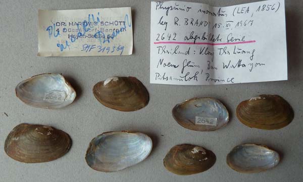 image of lot SMF_319369