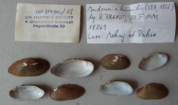 image of lot SMF_319402