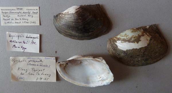 image of lot SMF_319608