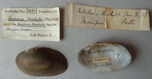 image of lot SMF_3634