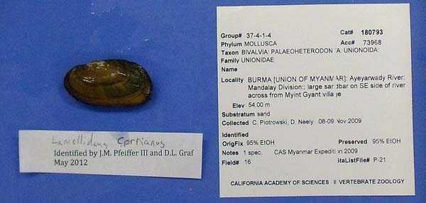 image of lot CAS_180793