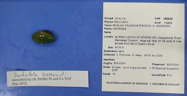 image of lot CAS_180800