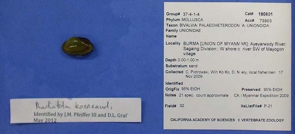 image of lot CAS_180801