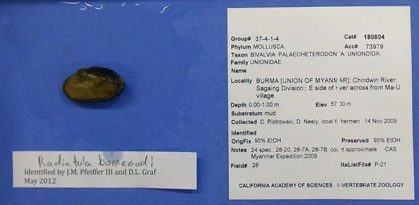 image of lot CAS_180804