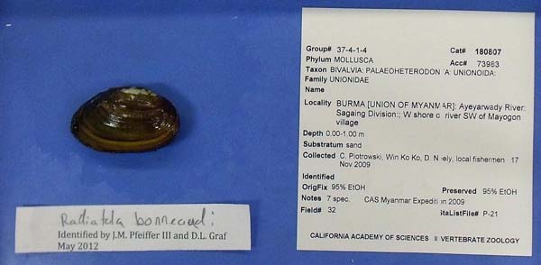 image of lot CAS_180807