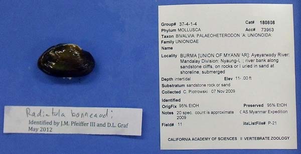 image of lot CAS_180808