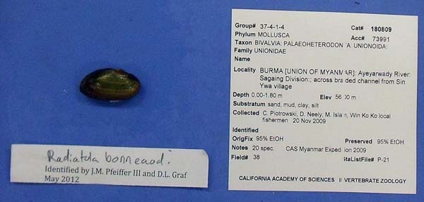 image of lot CAS_180809