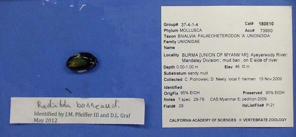 image of lot CAS_180810