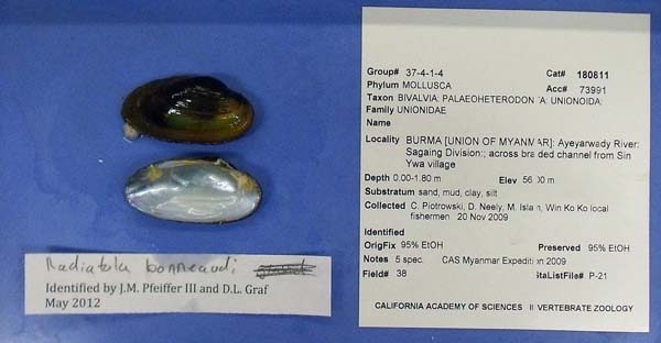 image of lot CAS_180811