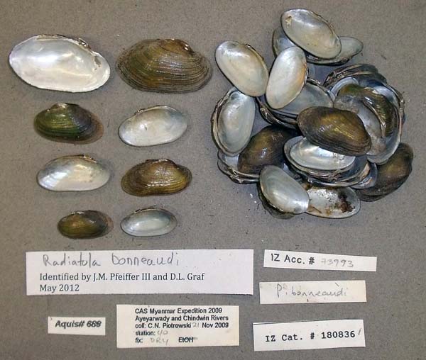 image of lot CAS_180836