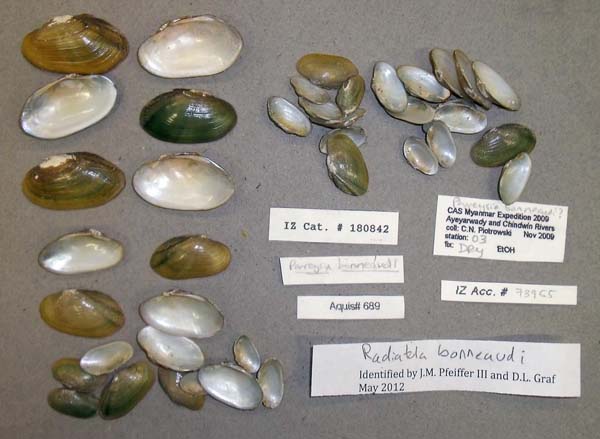 image of lot CAS_180842