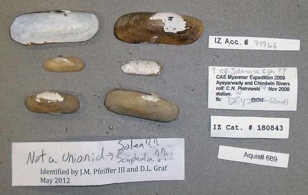 image of lot CAS_180843