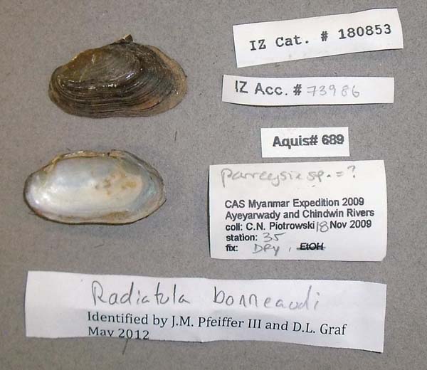 image of lot CAS_180853