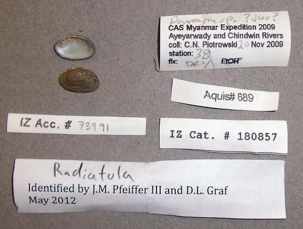 image of lot CAS_180857