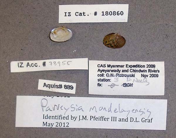 image of lot CAS_180860