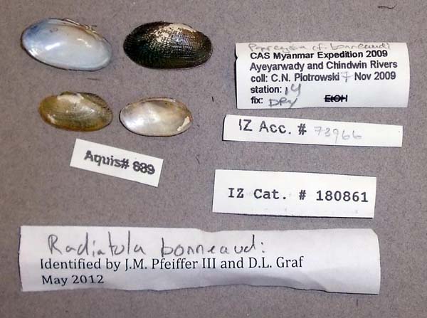 image of lot CAS_180861