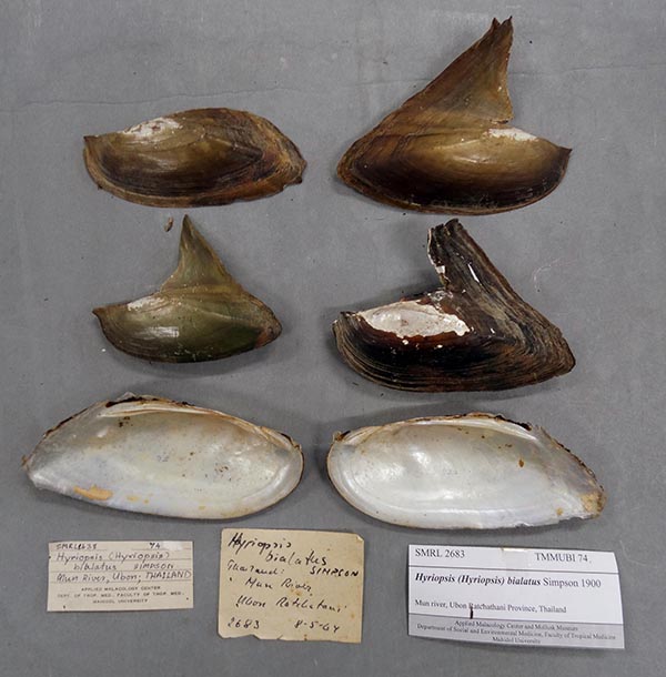 image of lot SMRL_2683