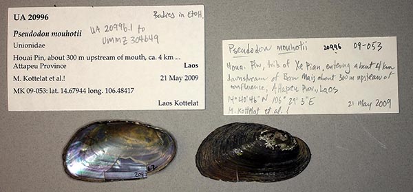 image of lot UA_20996