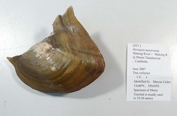 image of lot HMC_2537