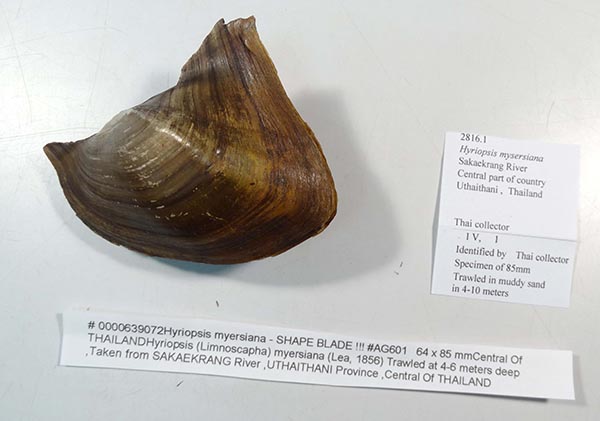 image of lot HMC_2816