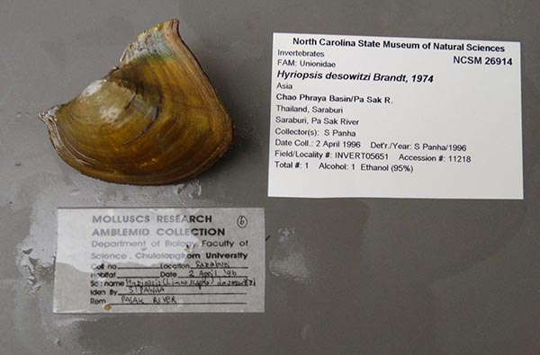 image of lot NCSM_26914