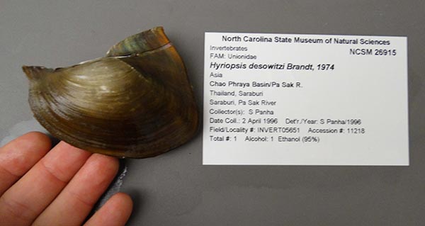 image of lot NCSM_26915